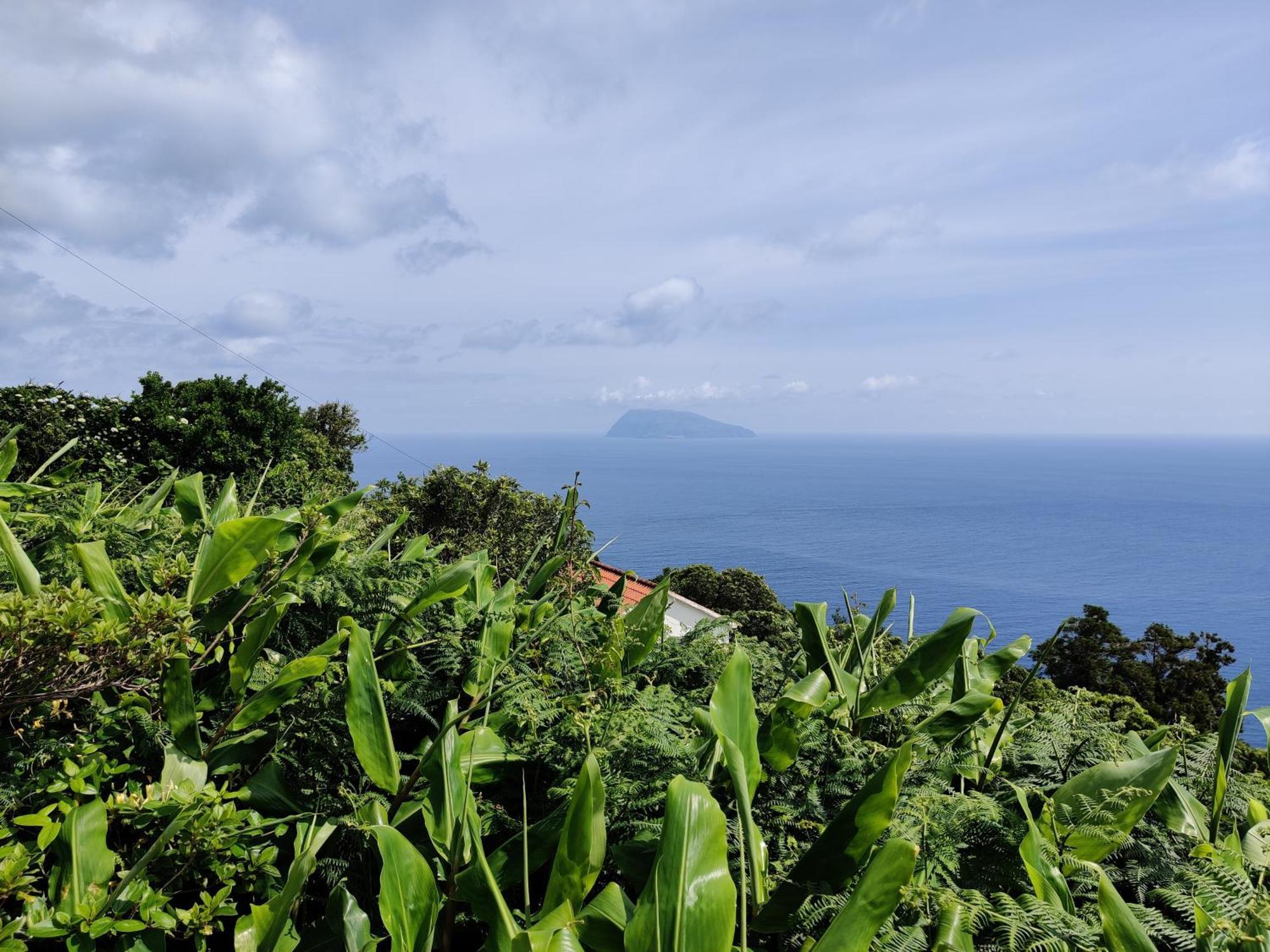 Willa Ocean View Cedros Santa Cruz das Flores Zewnętrze zdjęcie